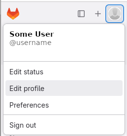 Gitlab Edit Profile