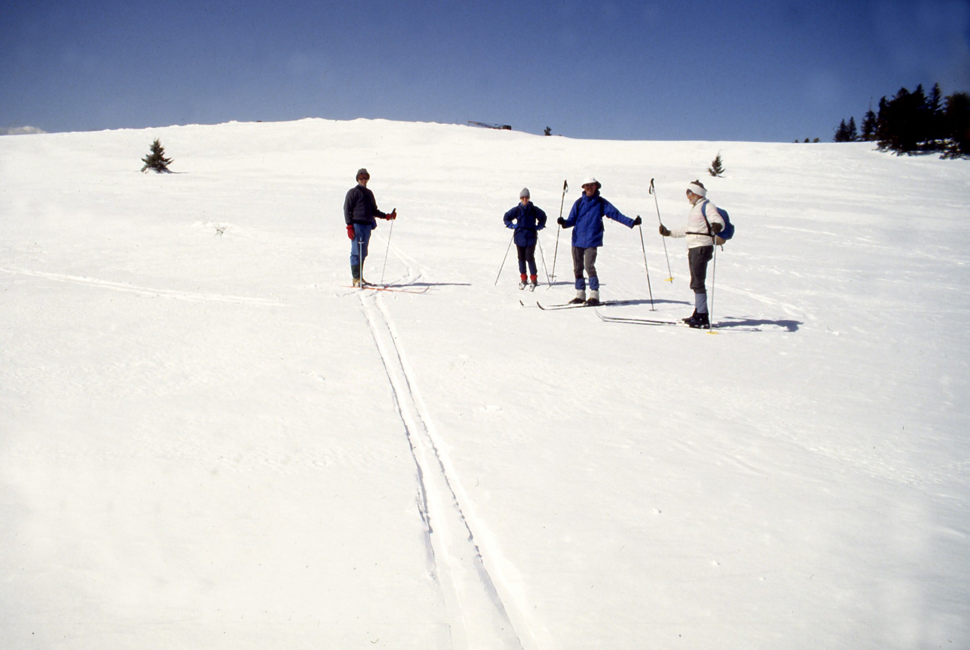 Potential MMA site in the Magdalena Mountains, 1992